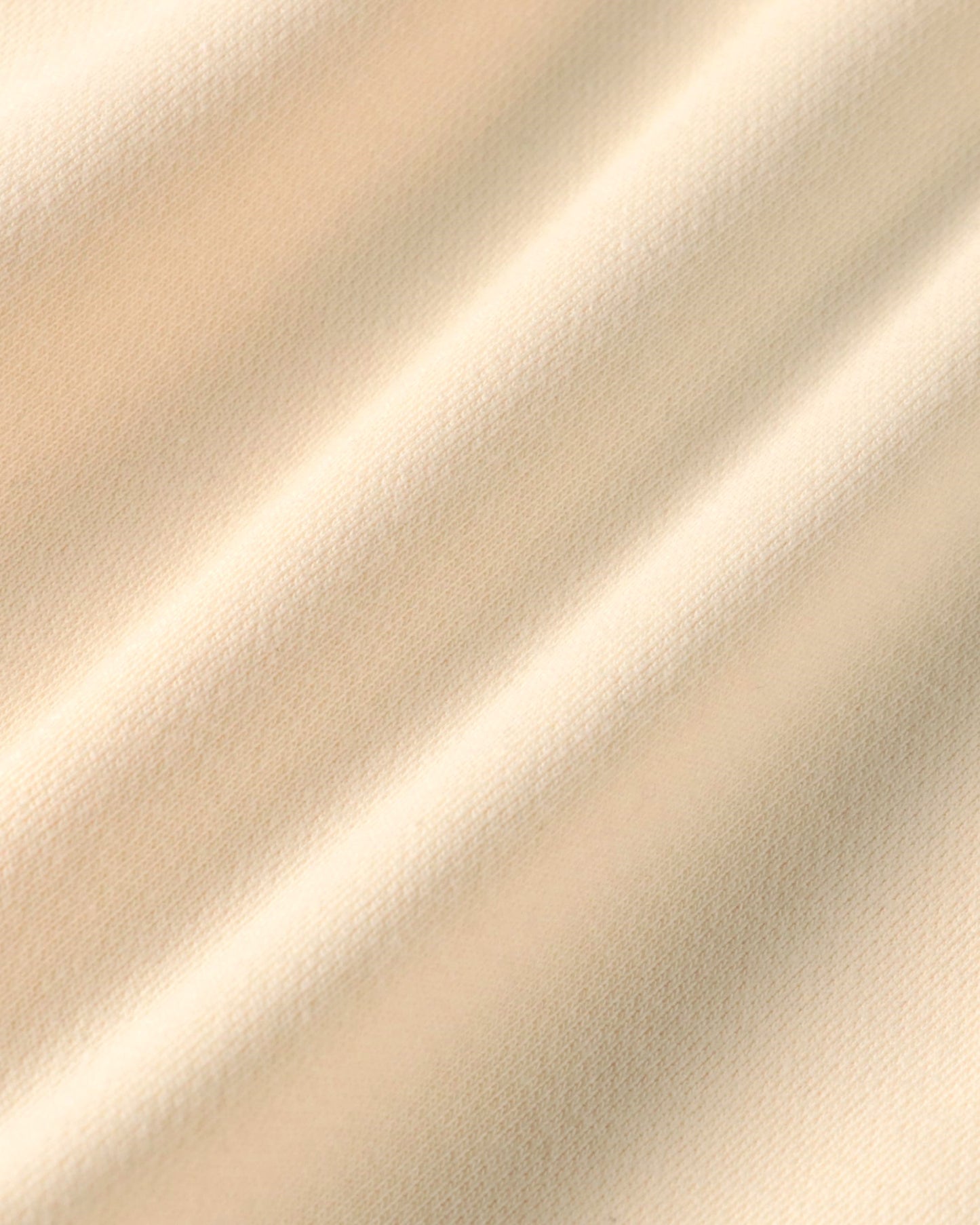 BALLOON ART [DINOSAUR | CREAM]